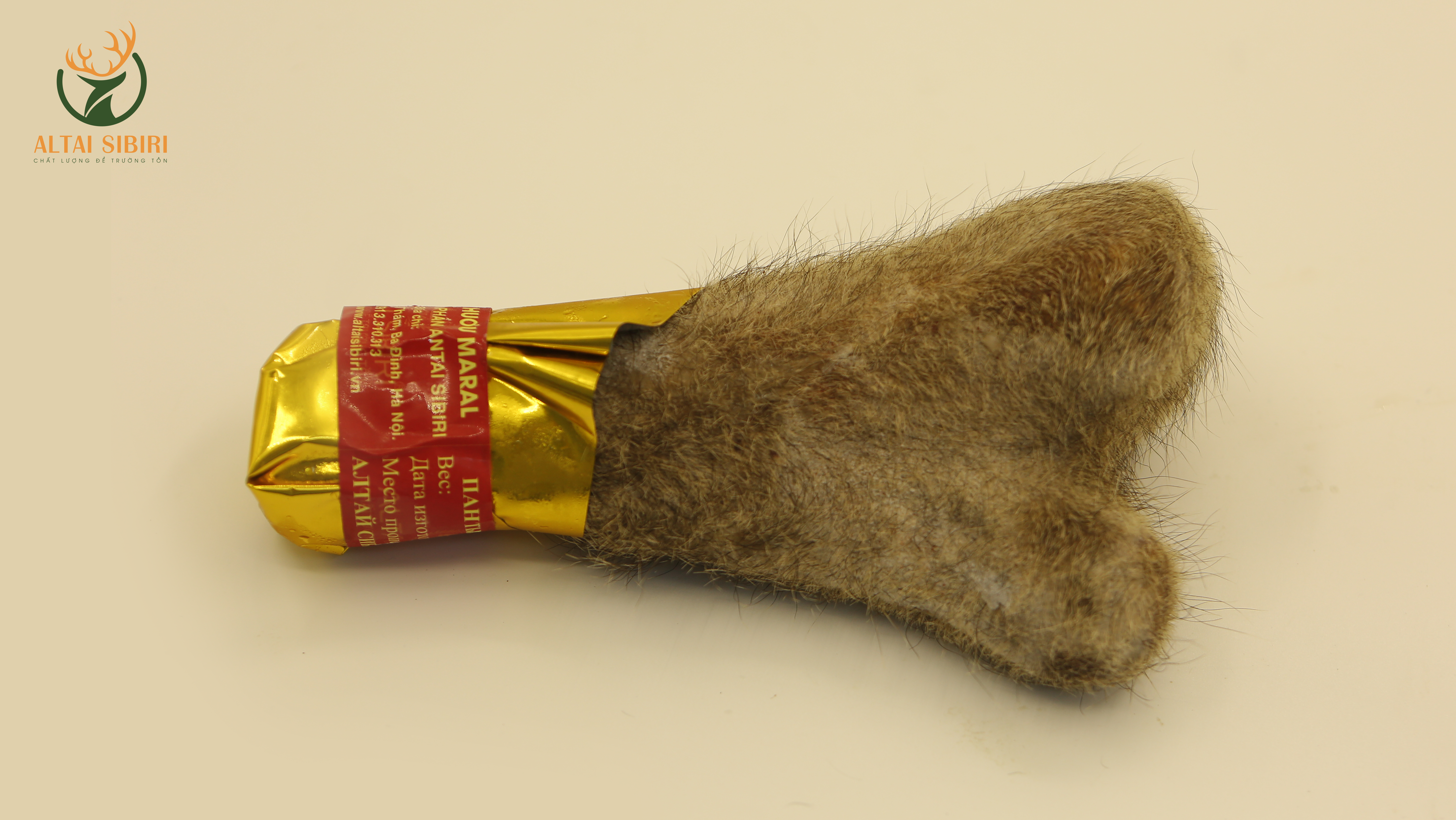 nhung hươu tươi sibiri