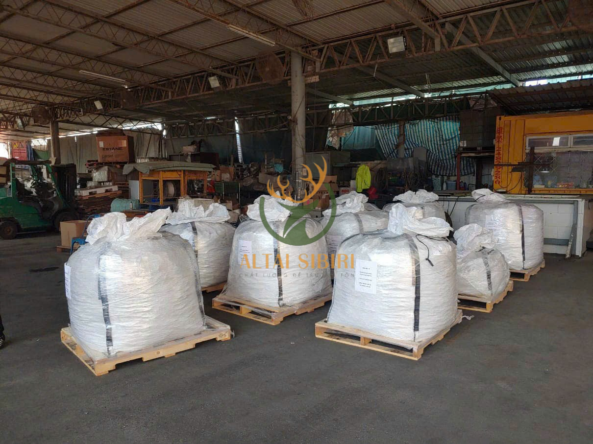 sừng hươu cắt khúc 7 (1)