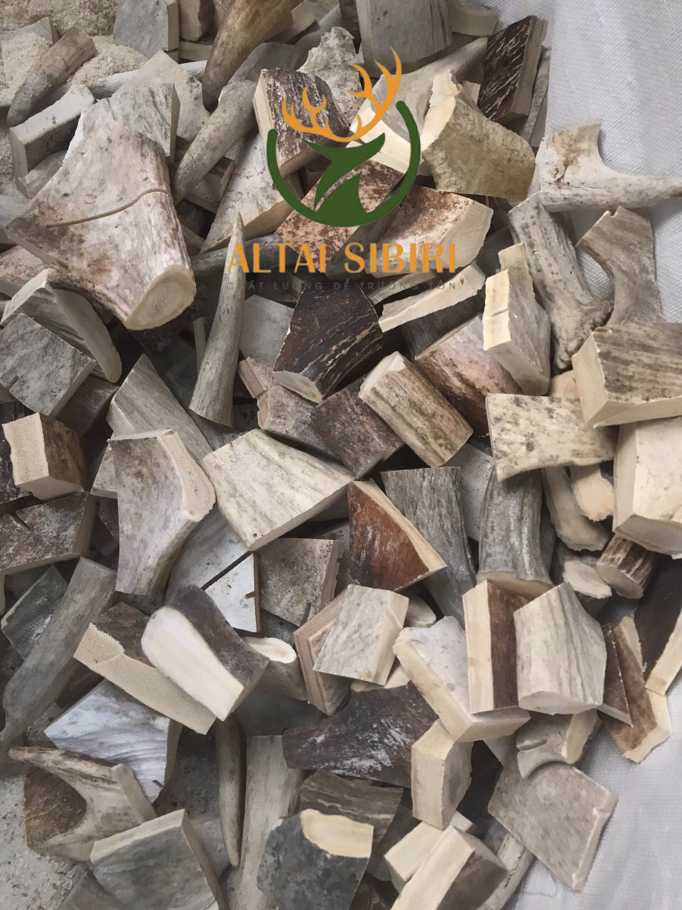 z6074622300001_2429231376bbfab4748f721621a44f7e (1)